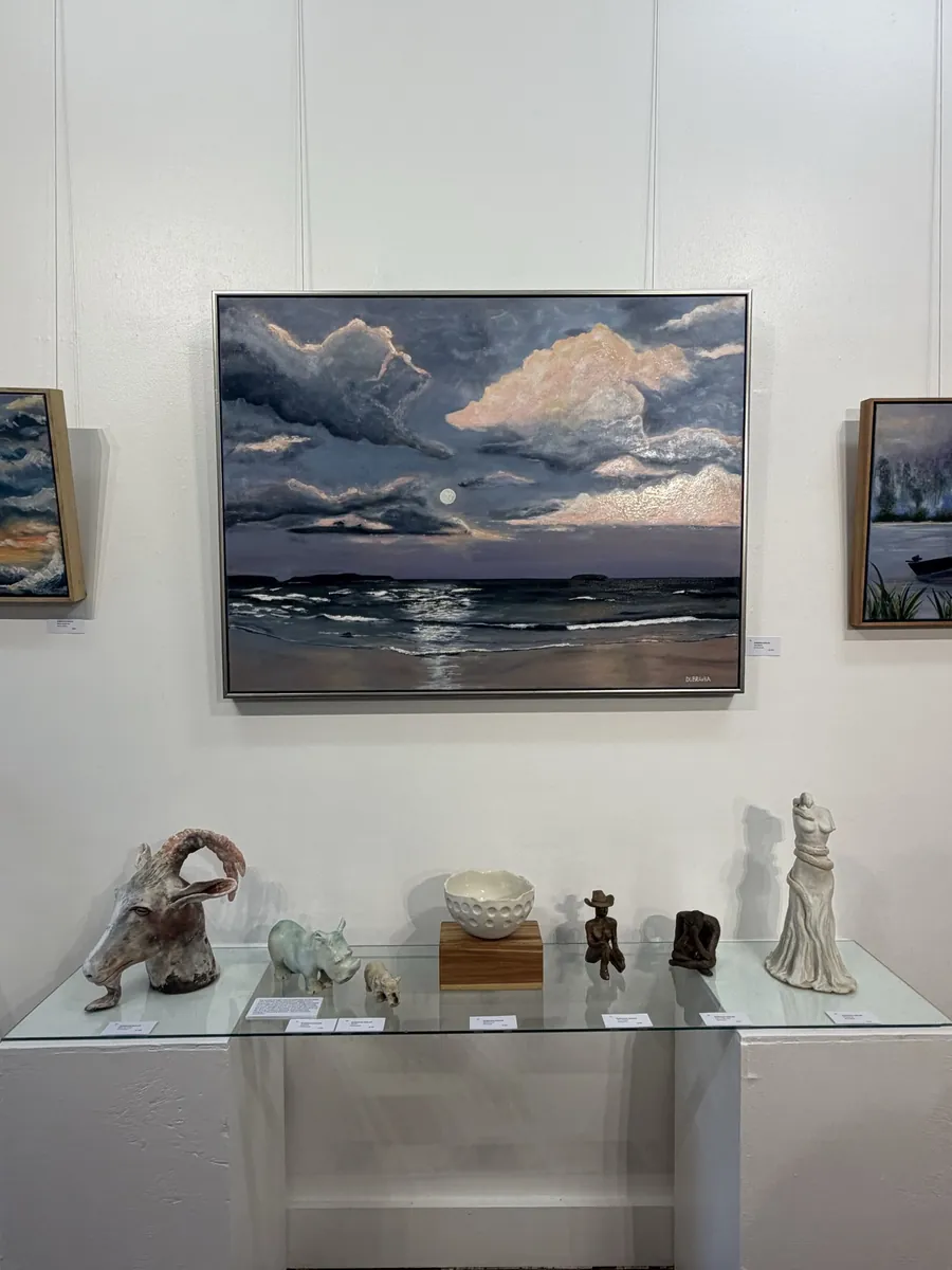 Solo Exhibition - Nexus Art Gallery Bellingen — exhibition photograph 7 of 12